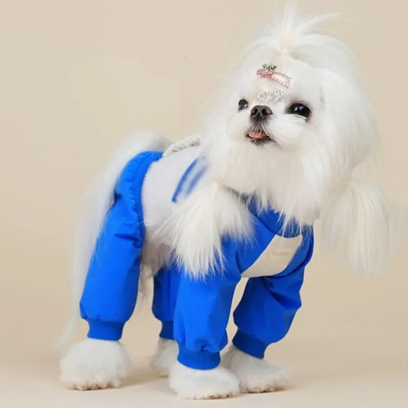 Pantalones antipolvo para perros: ligeros y limpios en paseos de primavera y verano - imagen 4