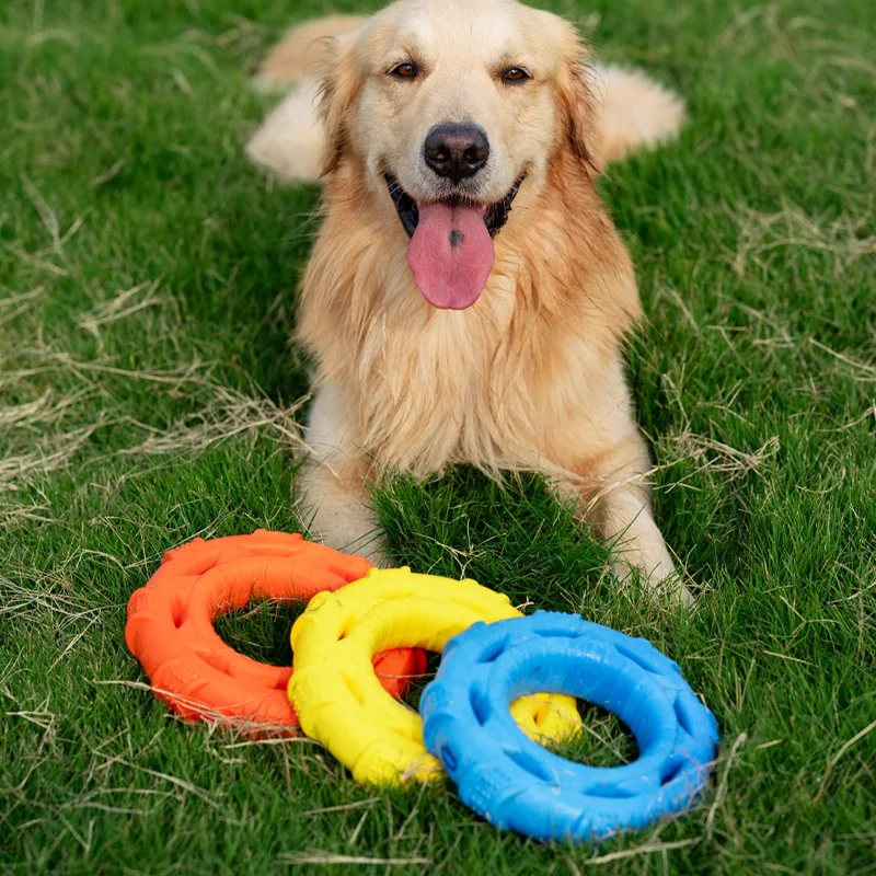 Juguete Anillo para Perros – Mordedor Resistente e Interactivo - imagen 2