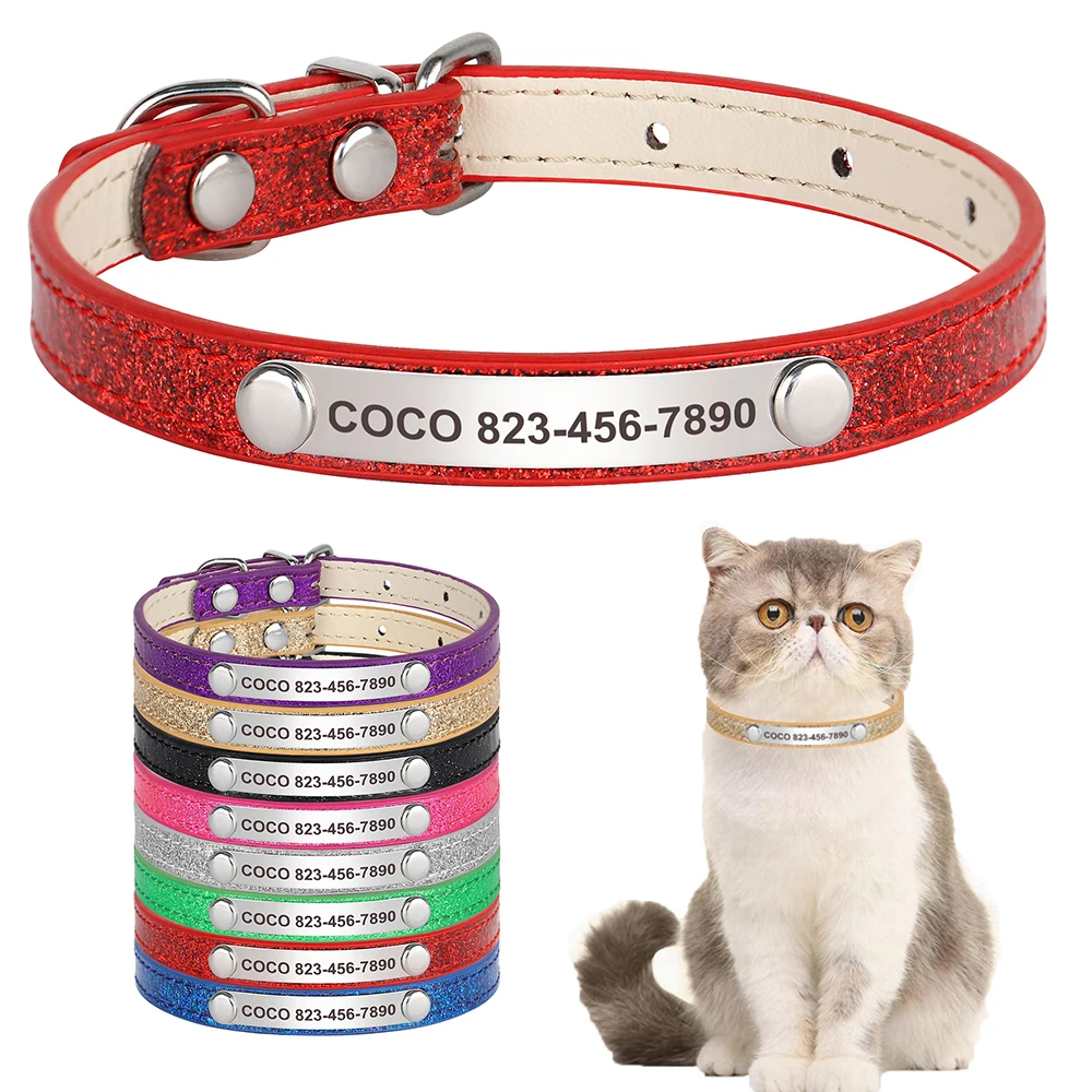 Collar rojo placa identificación