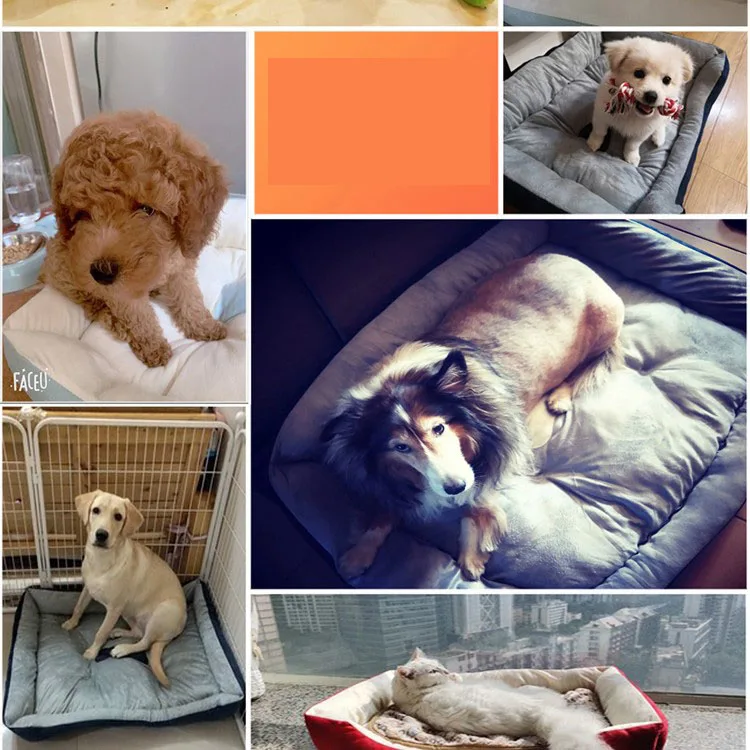 Cama LAPLADOG en ambiente hogareño