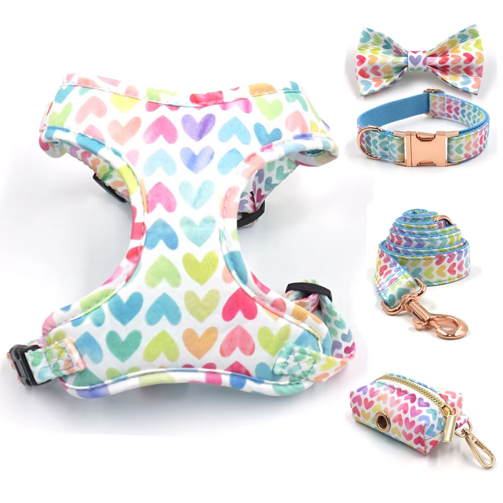 Conjunto collar para perro pequeño acolchado con correa y bolsas - imagen 4