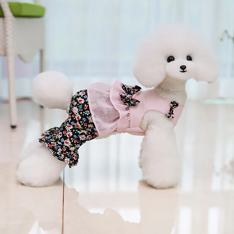 Prenda puesta en mascota durante paseo