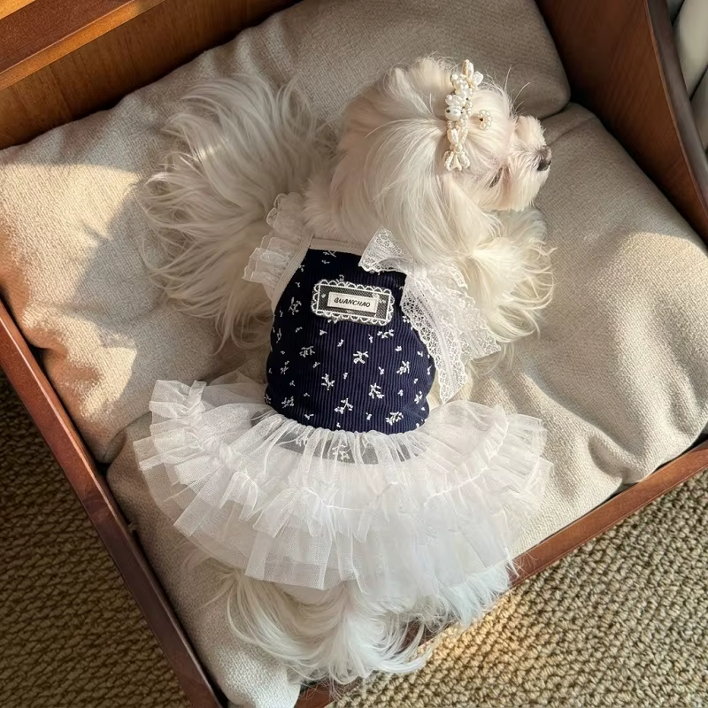 Look de verano para mascota