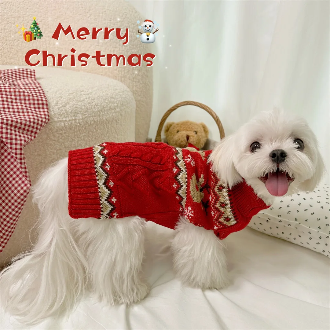 Gato usando suéter navideño azul
