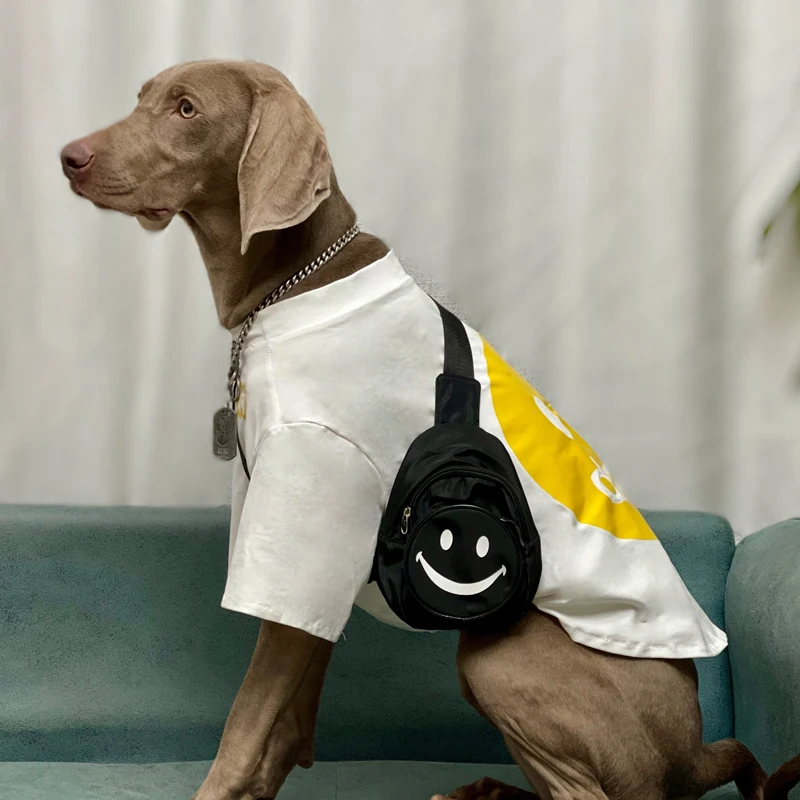 Estilo práctico para paseo diario
