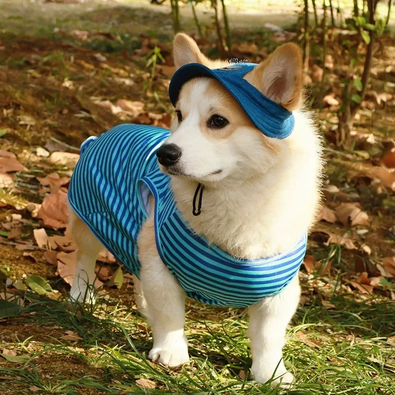 Gorra de sol de mezclilla ajustable para perros pequeños y medianos - imagen 3