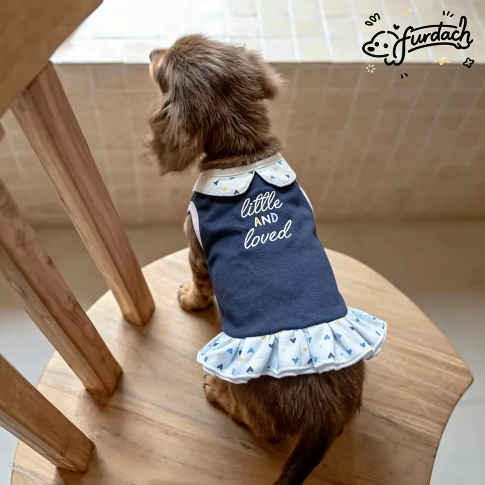 Vestido de algodón para perro salchicha con cuello y falda azul - imagen 3