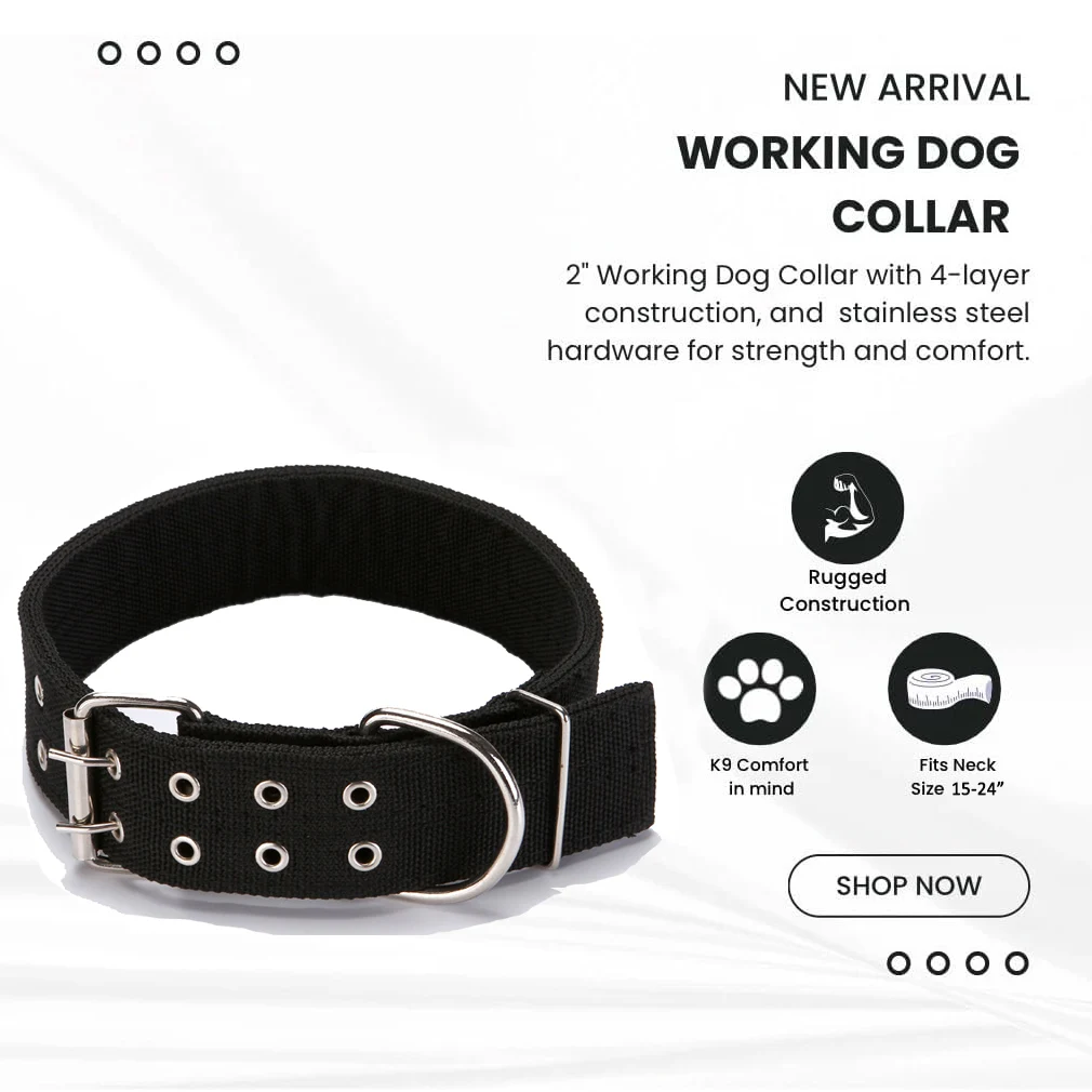 Collar perro resistente y ajustable – Grande y mediano con acero - imagen 4