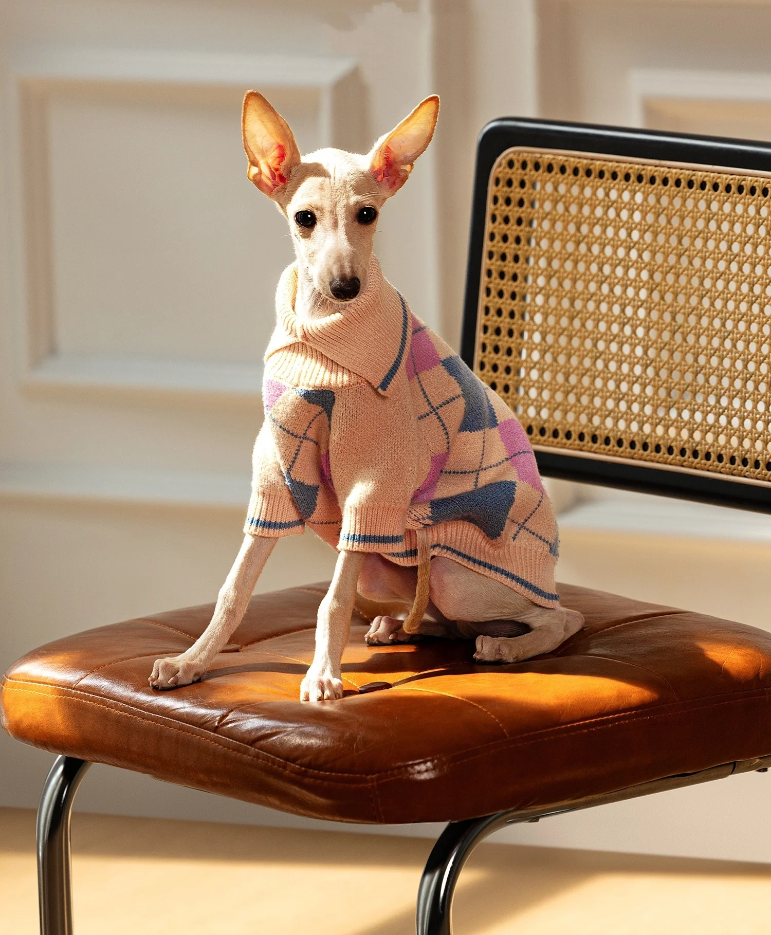 Suéter a cuadros de invierno para perros pequeños y medianos