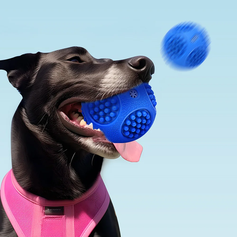 Bola chirriante en acción para perros
