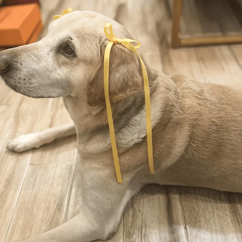 Lazos grandes para perros con clips metálicos – accesorios de cuidado - imagen 3