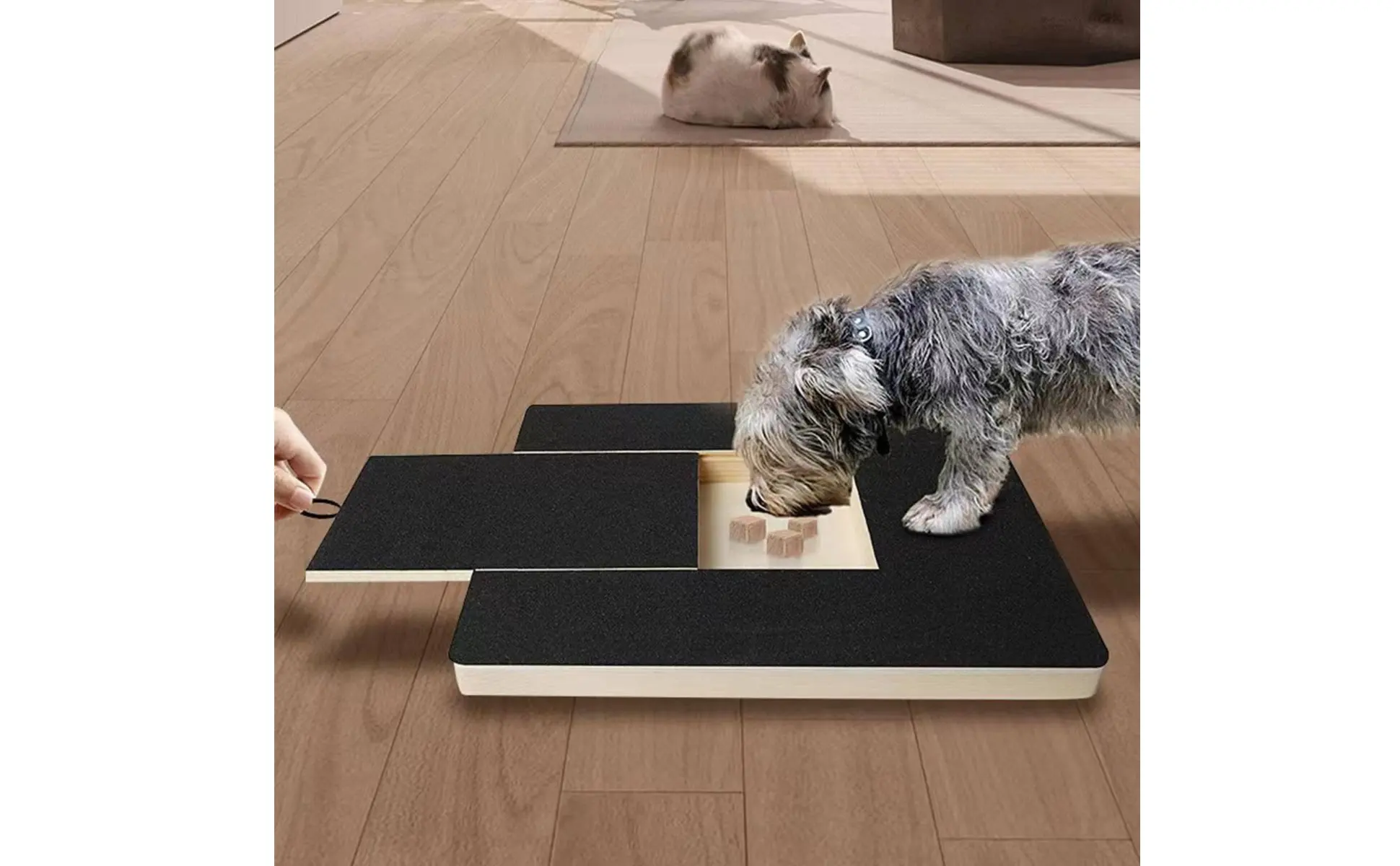 Tabla rascadora de uñas para perros sobre superficie plana