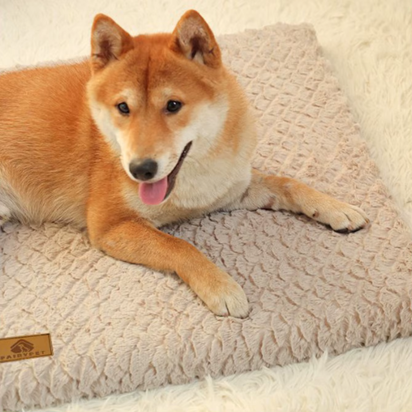 Cama de invierno cálida y antideslizante 2 en 1 para perros y gatos - imagen 5