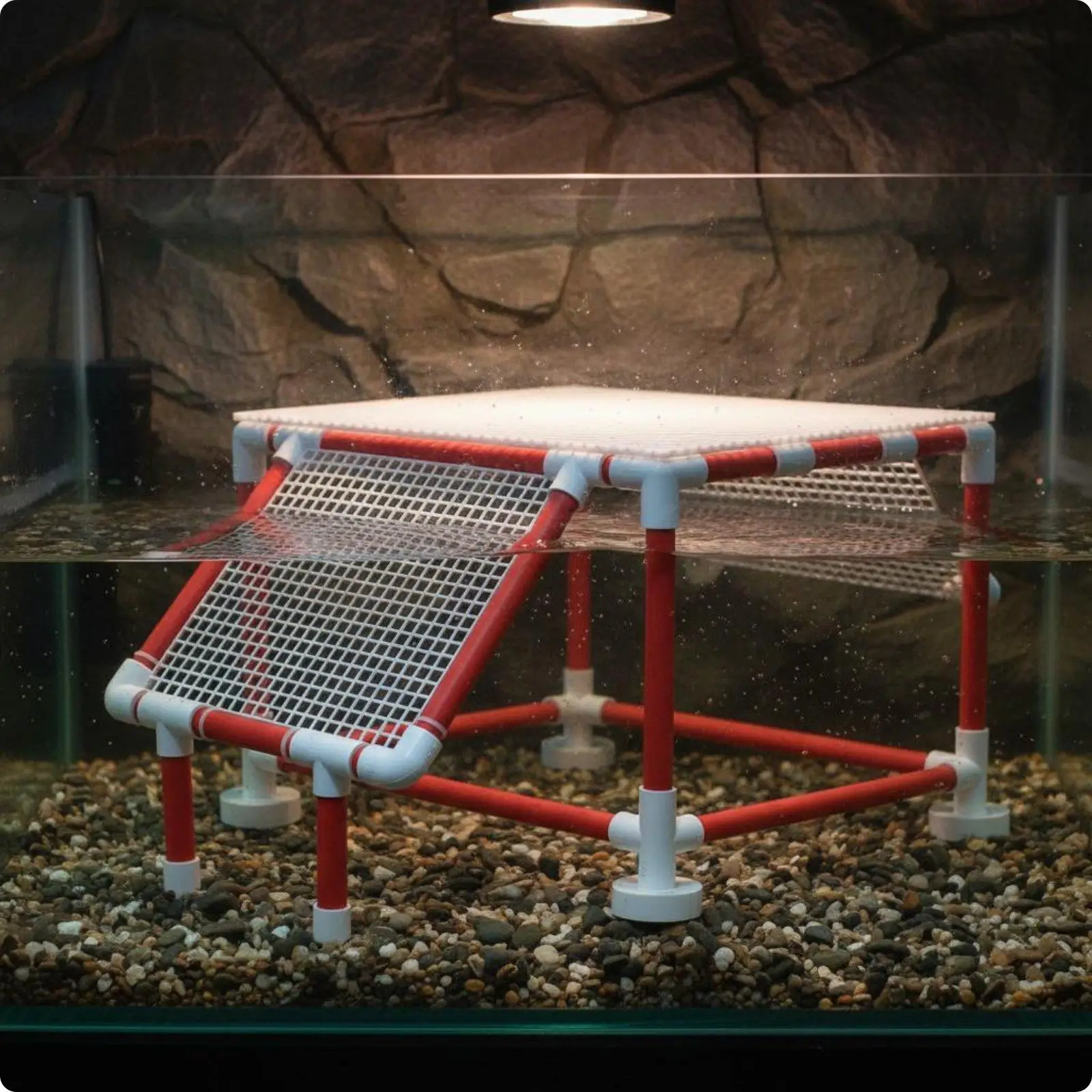 Plataforma elevadas para reptiles con soporte lámpara basking - imagen 3