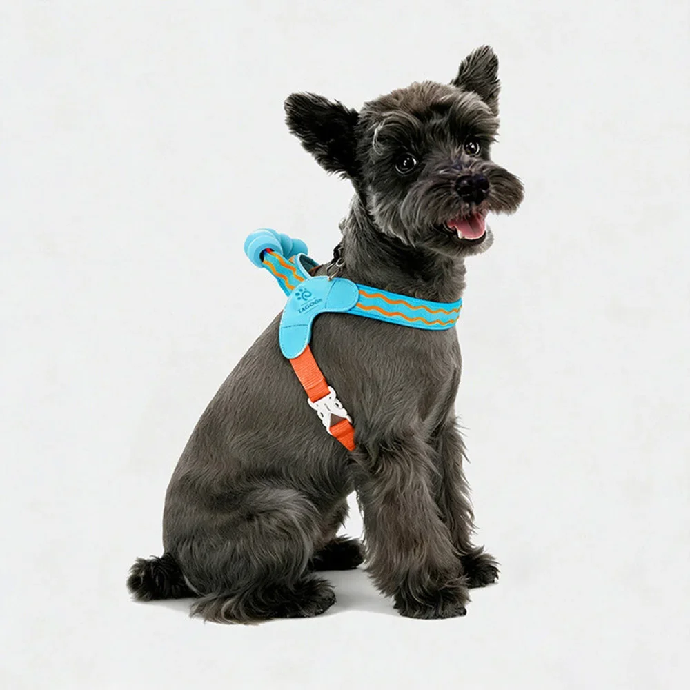 Correa con mango acolchado para perro