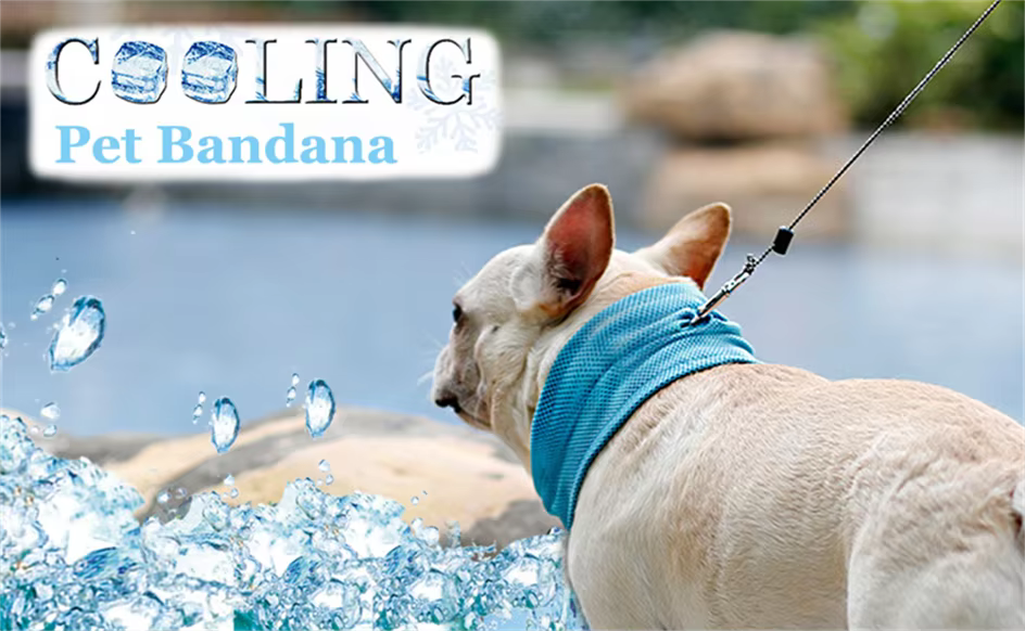 Bandana de enfriamiento instantáneo para perros, color azul, sobre fondo claro