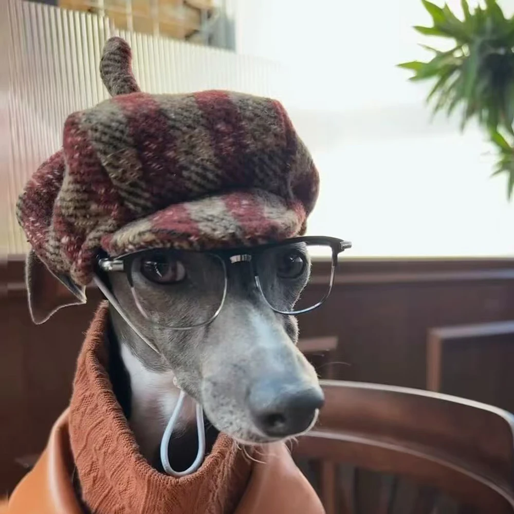 Perro whippet usando la boina en un jardín, detalle de la textura de lana