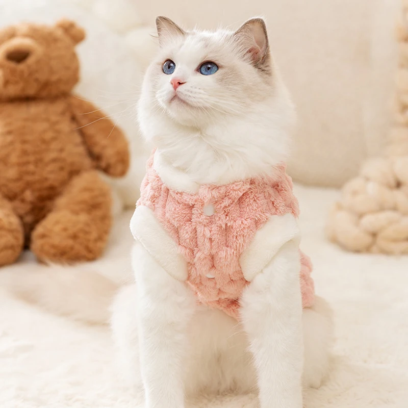 Ropa para gato pequeño