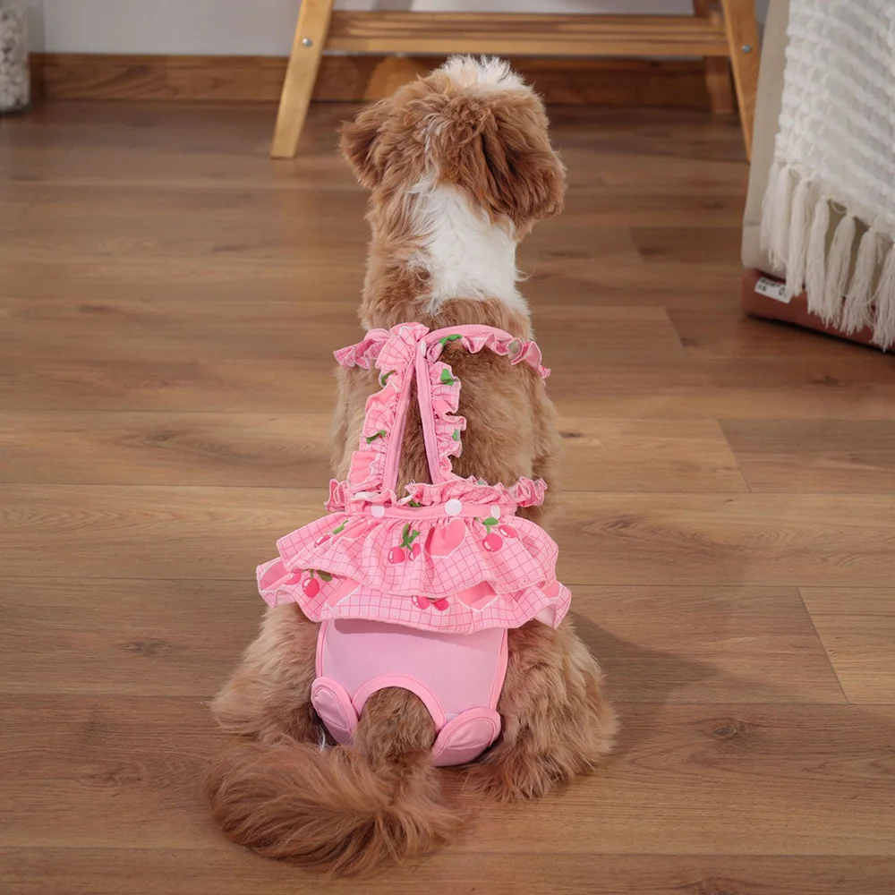 Pantalones cortos de seguridad para perros