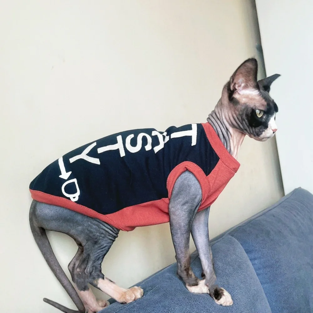 Camiseta de gato negra medida