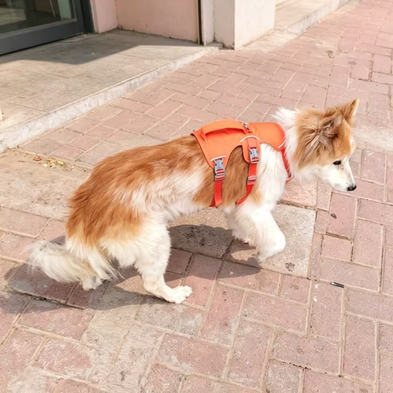 Arnés anti-tirones transpirable para perro con asa acolchada