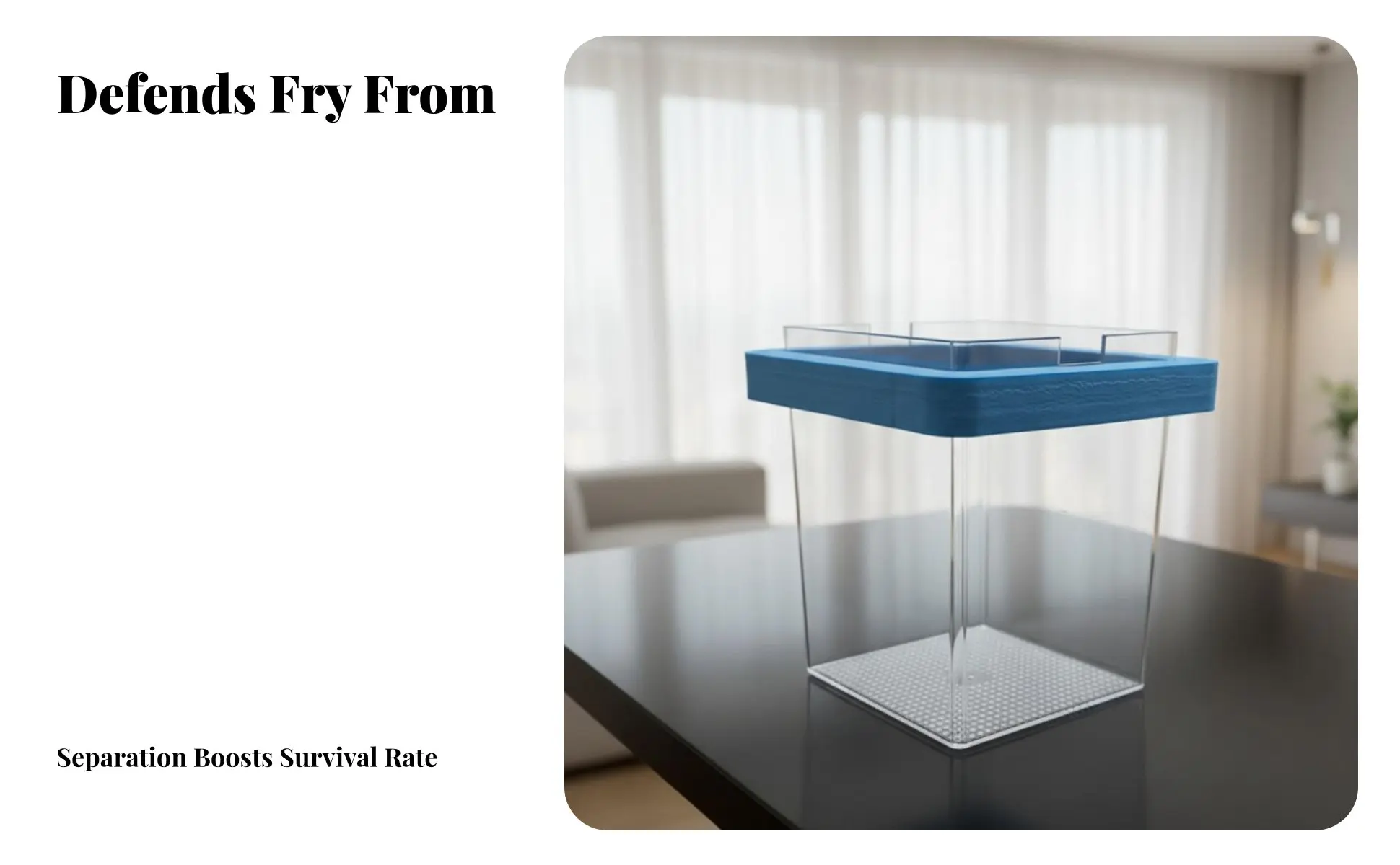 Caja de cría acuática flotante transparente para guppys