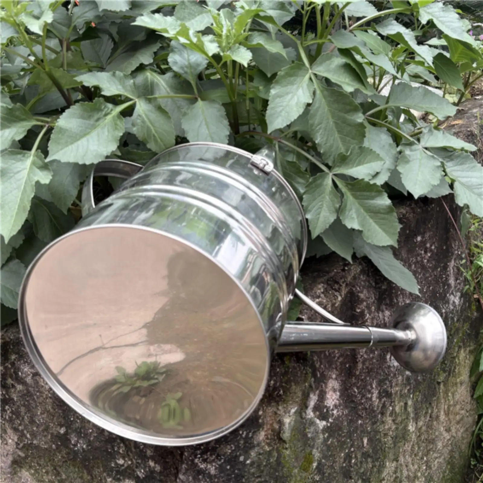 Regadera acero inoxidable con boquilla larga – Para macetas y jardín - imagen 3