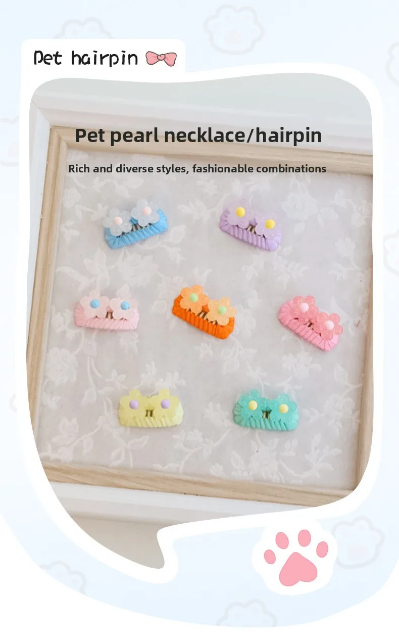 Pinza para mascotas con flor primaveral en primer plano