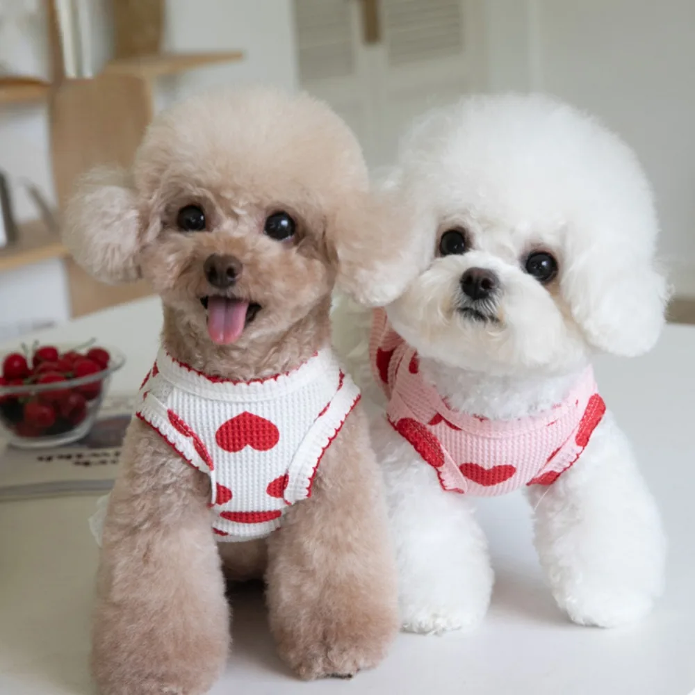 Tabla de tallas del vestido para perro
