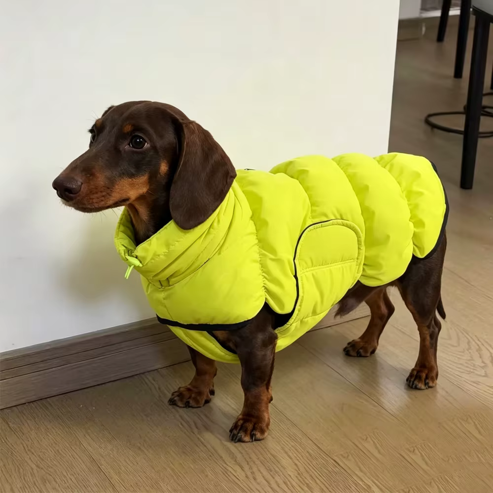 Chaqueta cortavientos para teckel | Abrigo térmico fácil de poner - imagen 4