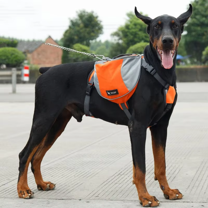 Mochila de viaje para perros en uso al aire libre