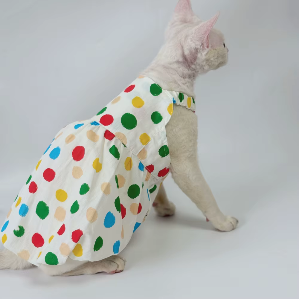 Vestido de verano para gata en posicion relajada