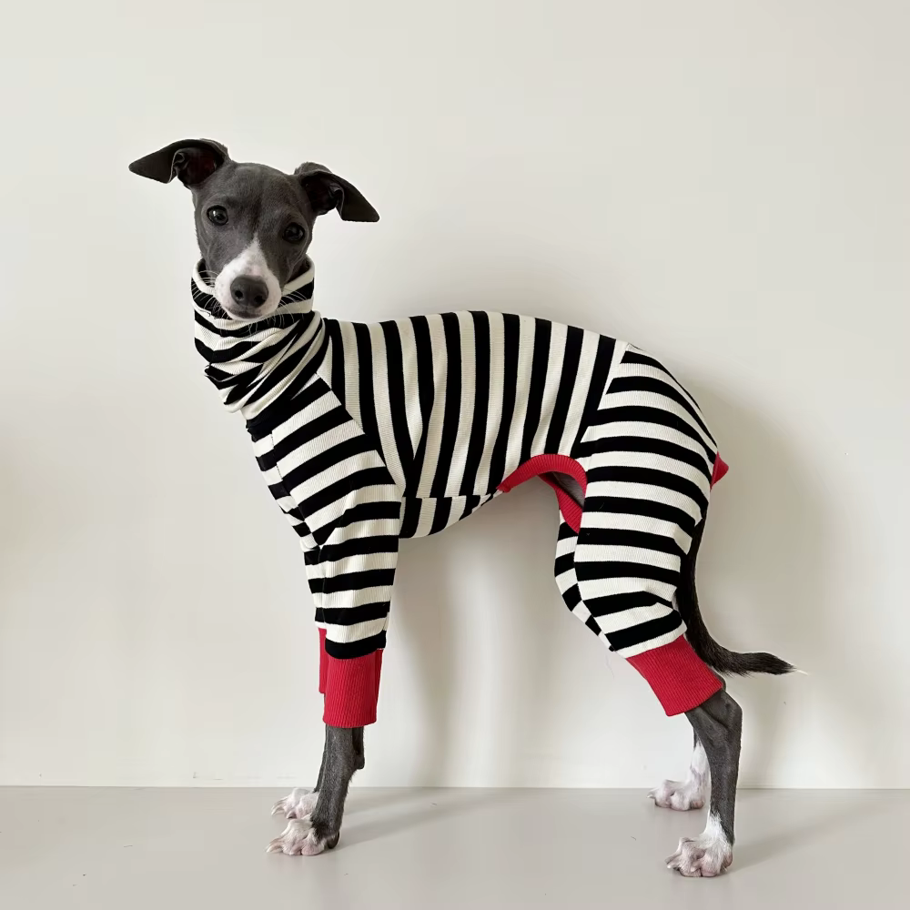 Chaleco ajustado para galgo italiano