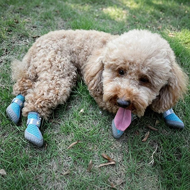 Botas impermeables y antideslizantes para perro, transpirables