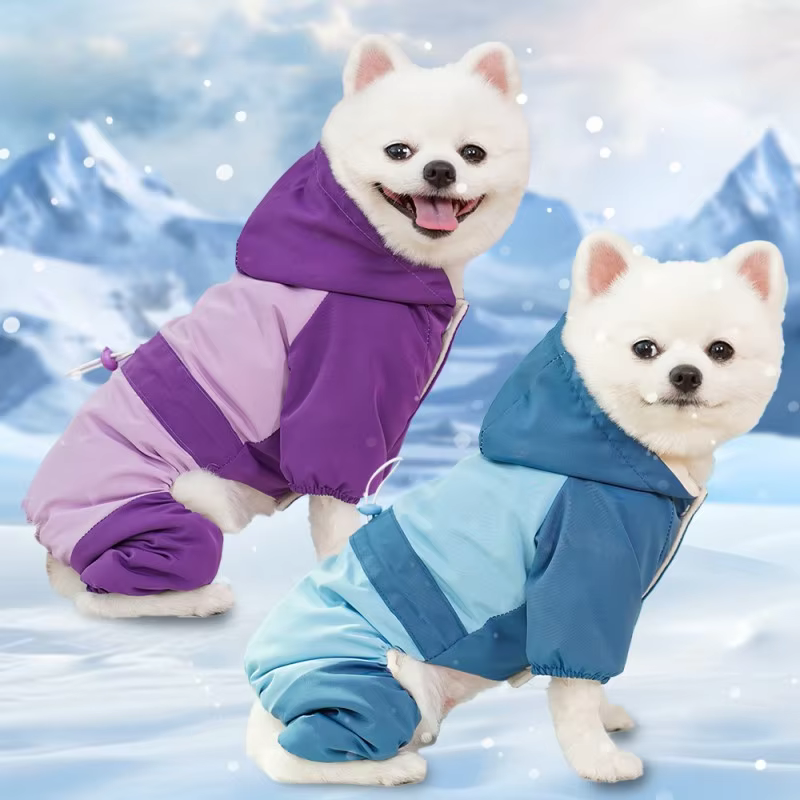 Chaqueta de perro en uso durante paseo