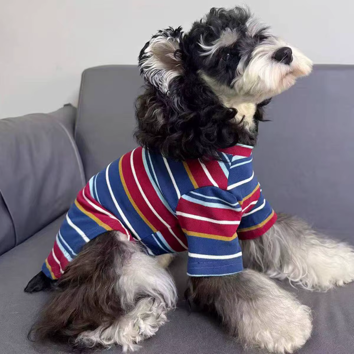 Camiseta algodón rayas para perro pequeño y gato - Ropa de verano - imagen 4