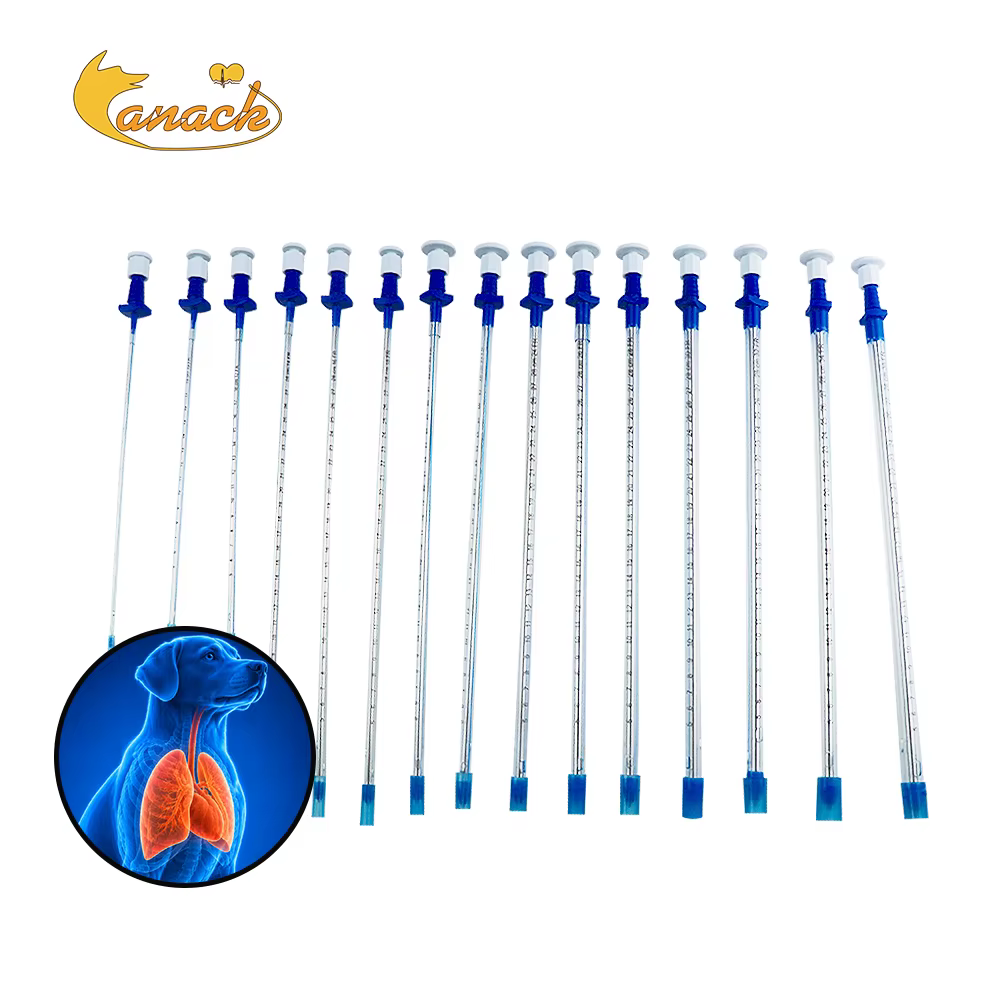 Catéter torácico Canack para gatos: tubo de drenaje veterinario - imagen 4
