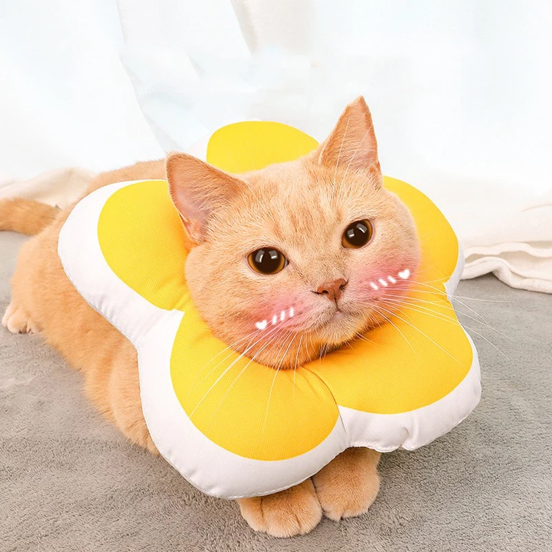 Gato usando el collar mientras come