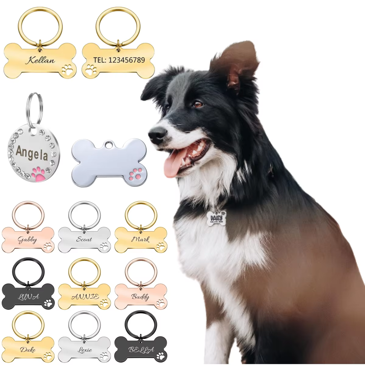 Placa de identificación con nombre para perros y gatos, anti-pérdida - imagen 5