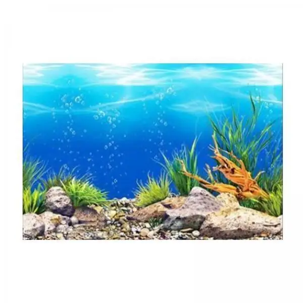 2xOcean PVC Aquarium Background Poster Fish Tank Decoration Landscape 30x52cm