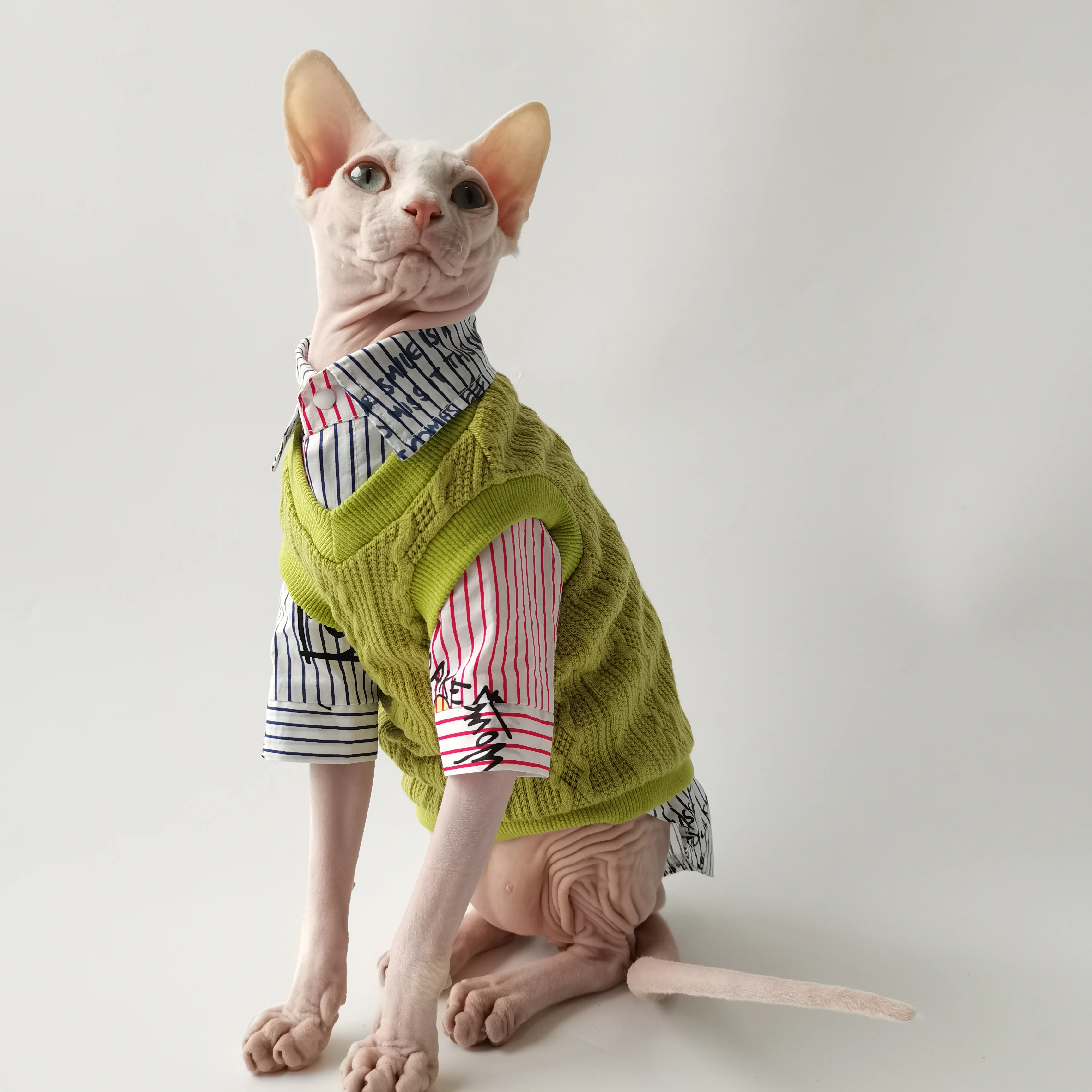 Conjunto caballero británico para Sphynx - detalle de tela