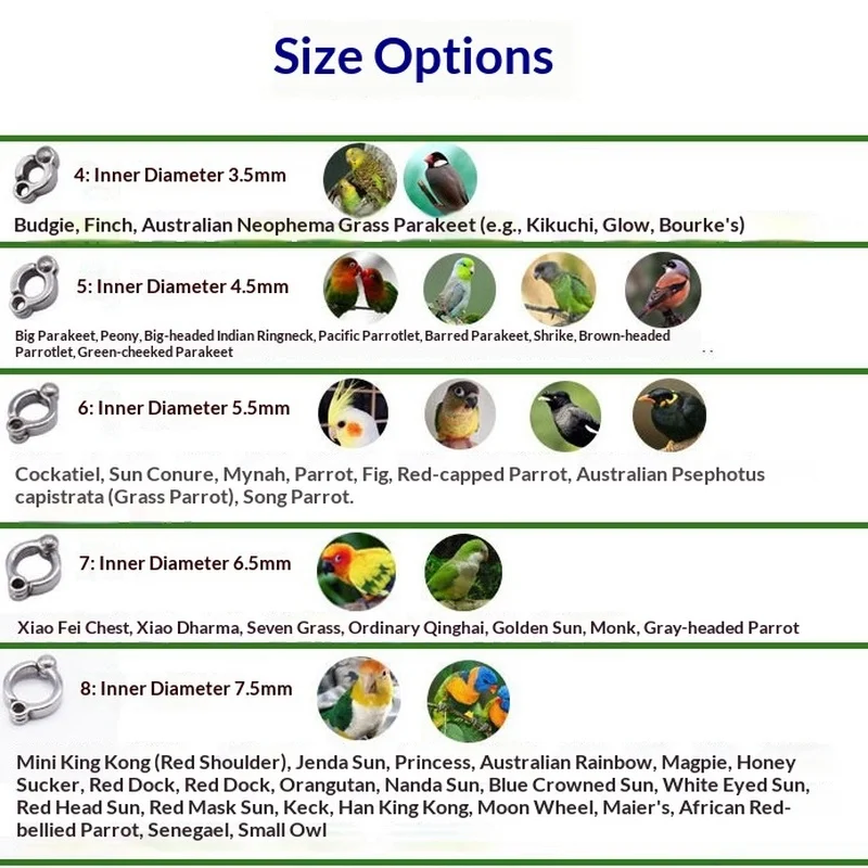 Arnés ajustable para loros – Correa de entrenamiento y vuelo para aves - imagen 3