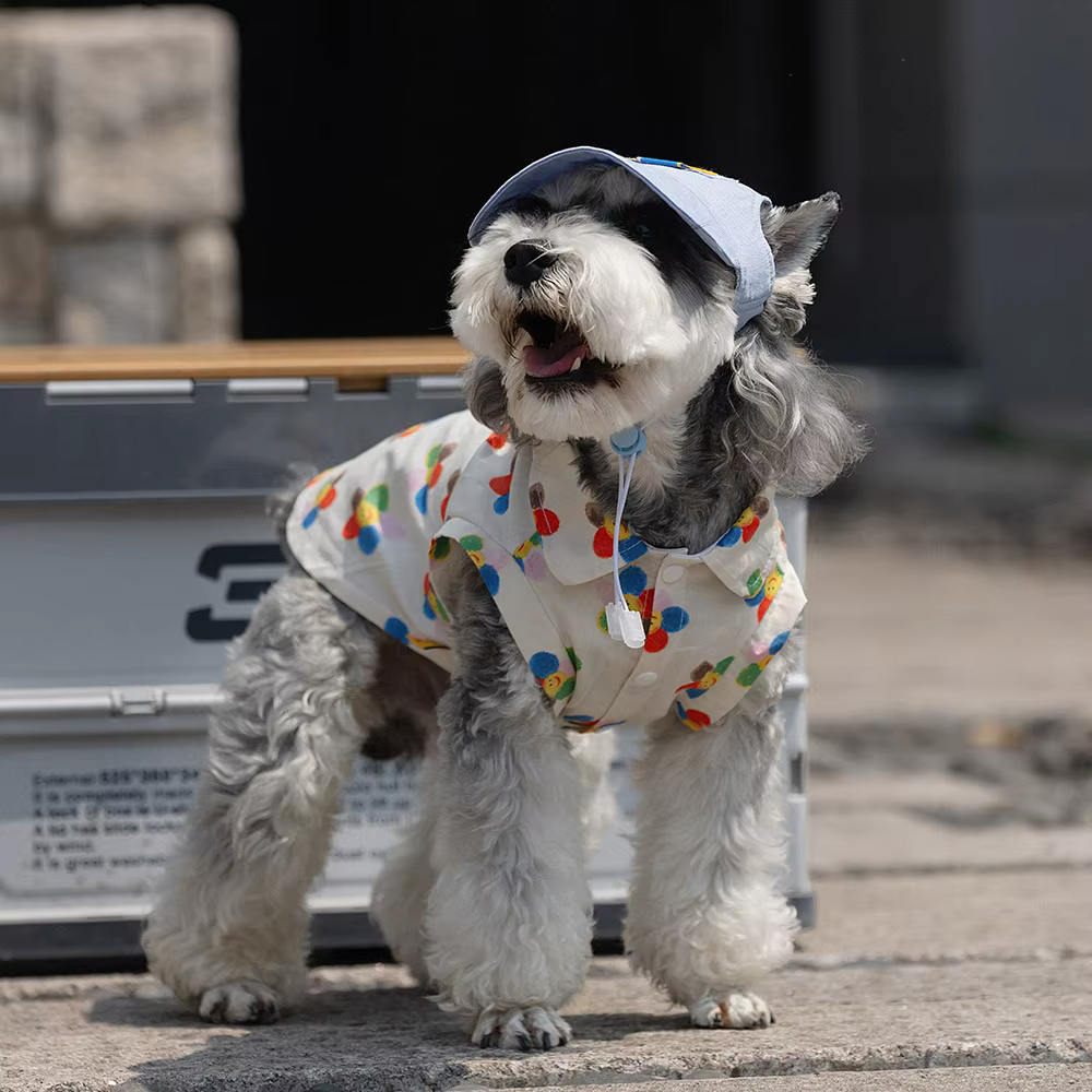 Estilo Ins para mascota
