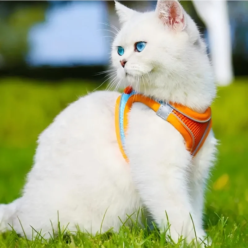 Arnés antiescape con correa para gatos y perros pequeños, transpirable - imagen 4
