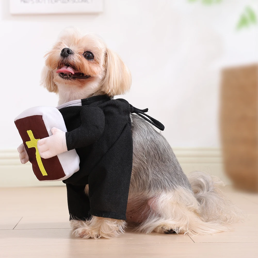 Perro wearing costume during Halloween walk