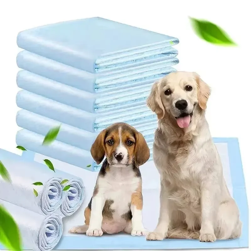 Almohadilla absorbente frontal