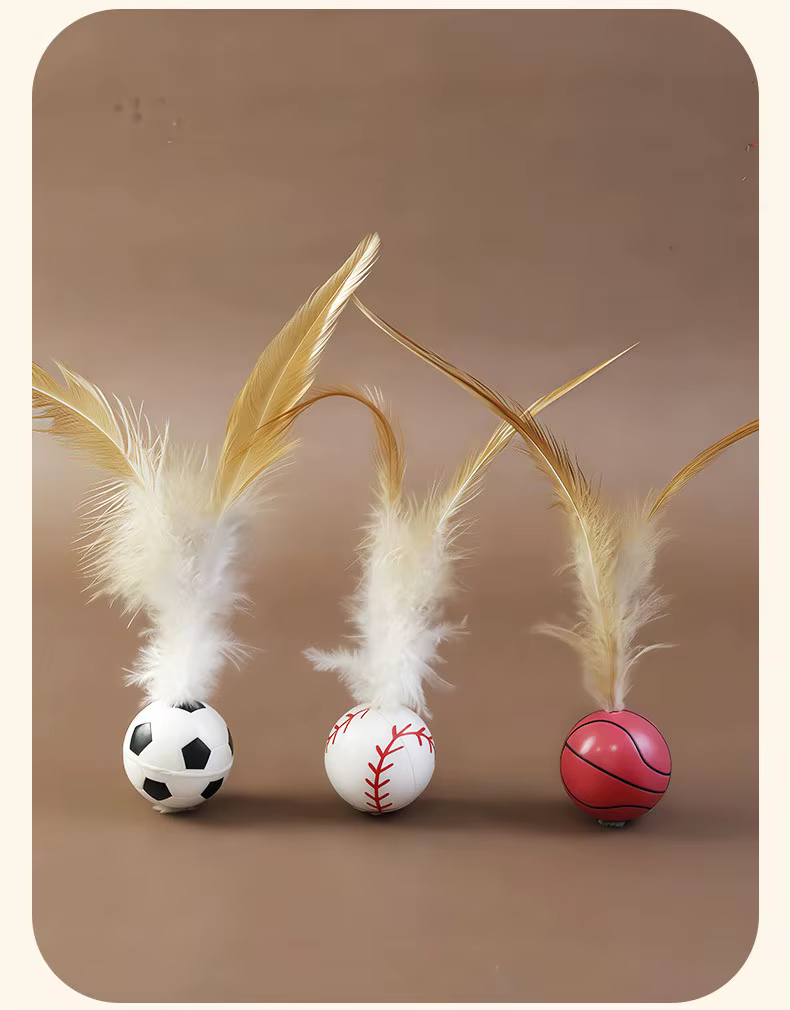 Pelota de plumas elástica guardada en bolsillo