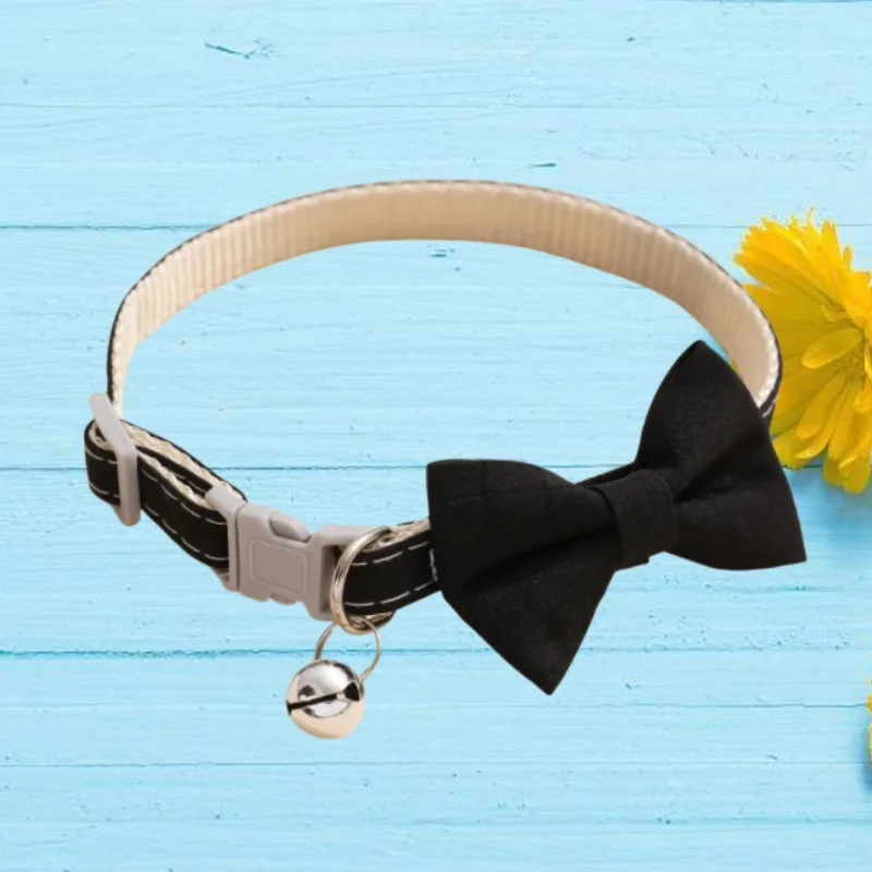 Collar con cascabel en uso para mascota pequeña