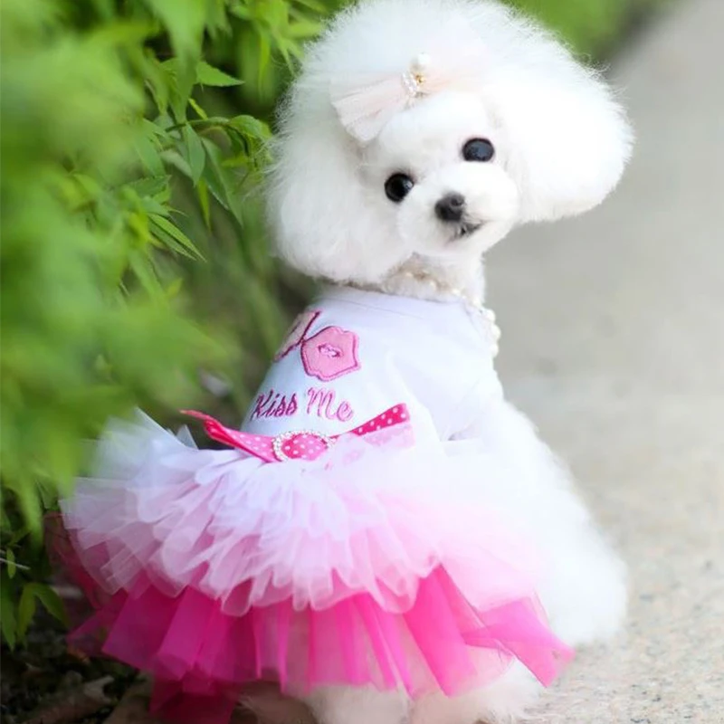 Vestido de verano con lazo para gatitas y perros pequeños, Chihuahua - imagen 4