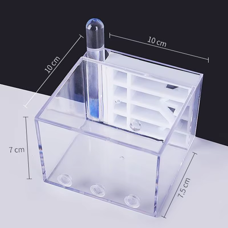 Formicario Ants Kingdom – Caja de observación de hormigas educativa - imagen 2